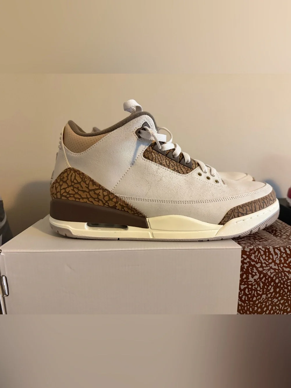 Jordan Sneakers in White, Brown and Gold
